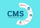 Understanding CMS: Types and Comparison