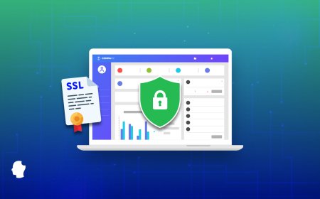 The Importance of Security Certificates for Modern Websites