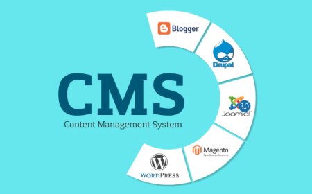 Understanding CMS: Types and Comparison