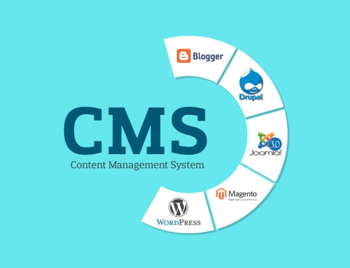 Understanding CMS: Types and Comparison