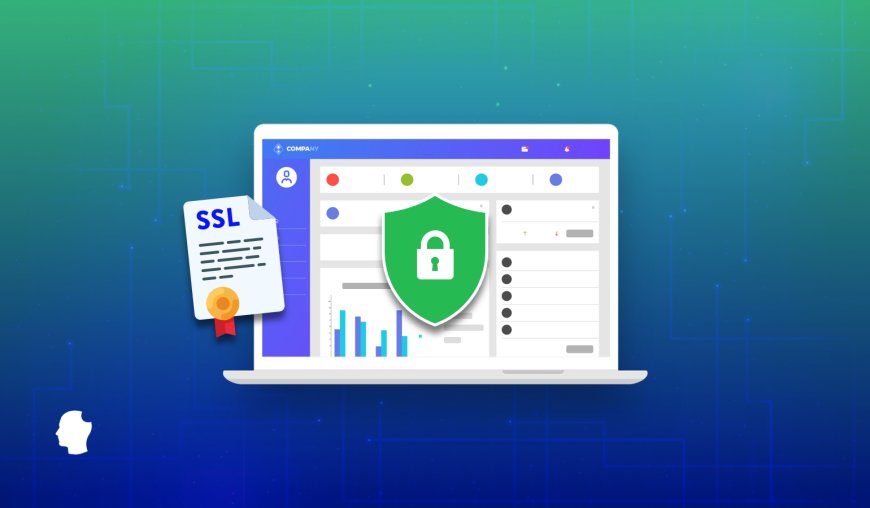 The Importance of Security Certificates for Modern Websites