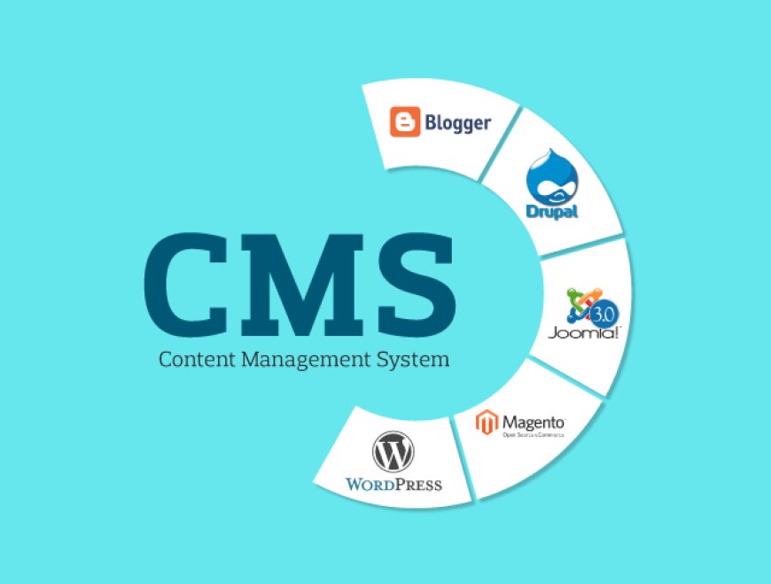 Understanding CMS: Types and Comparison